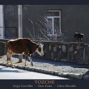Tozche