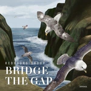 Bridge the Gap