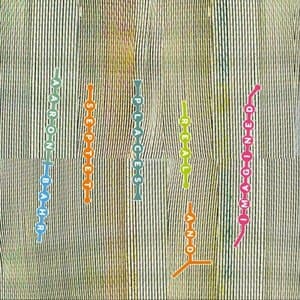 Places (Real and Imagined)