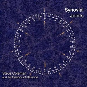 Synovial Joints