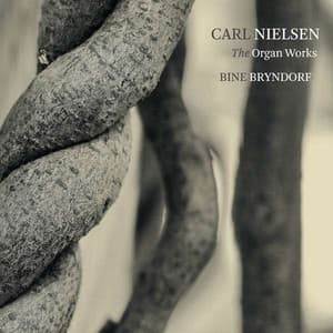 The Organ Works (Torsten Nielsen)