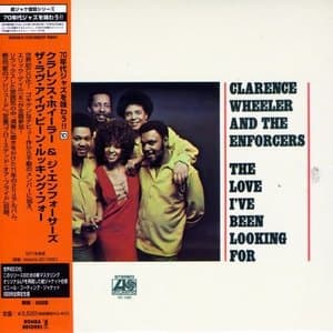 The Love Ive Been Looking For