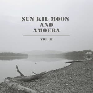 Sun Kil Moon and Amoeba, Vol. II