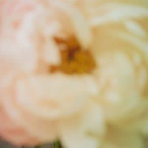 The Depths in Slow Motion