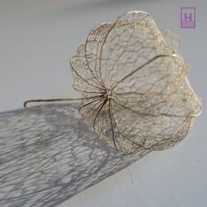 Umia | Permanent Colors