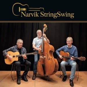 Narvik StringSwing