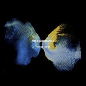 Some Things Stay Broken