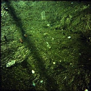 The Past Is a Black Hole