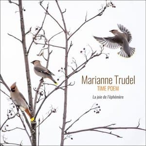 Time Poem: La joie de lephemere