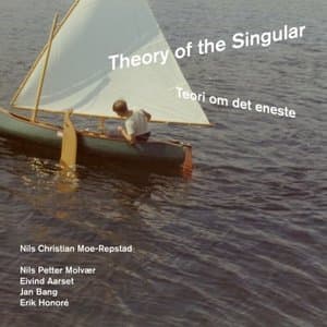 Theory on the Singular