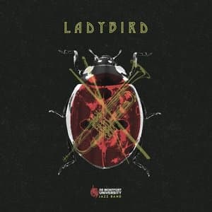 Ladybird