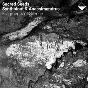 Fragments of Silence