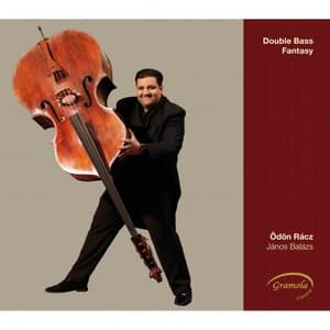 Double Bass Fantasy
