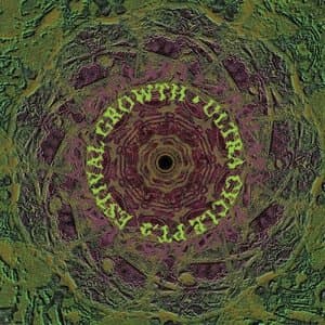 Ultra Cycle Pt. 2: Estival Growth