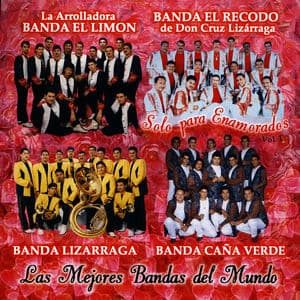 Solo Para Enamorados, Vol. 1