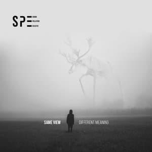 Same View Different Meaning