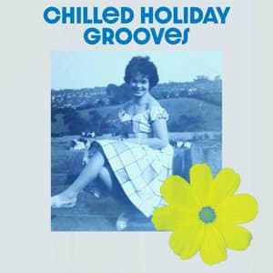 Chilled Holiday Grooves
