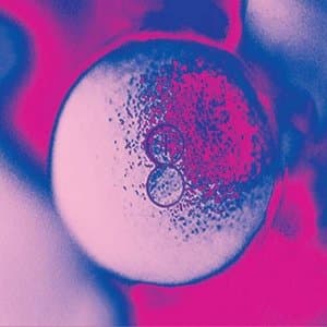 Lab 2018 - The Rhythm of the Road