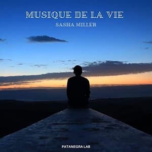 Musique De La Vie