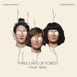 Three days of forest - Four Trees