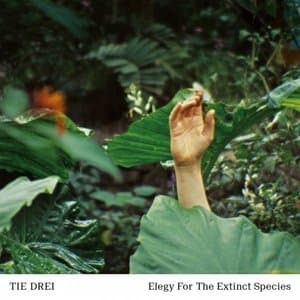 Elegy for the Extinct Species