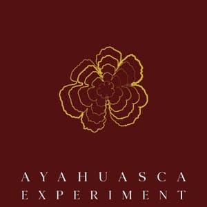 Ayahuasca Experiment