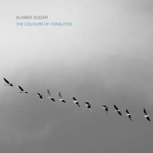 THE COLOURS OF TONALITIES