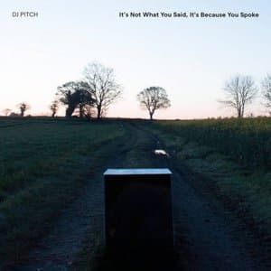 Its Not What You Said Its Because You Spoke