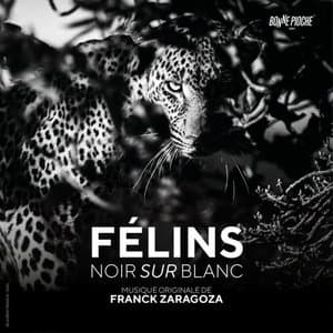 Felins noir sur blanc (Bande originale du film)