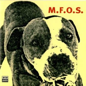 M.F.O.S. (Many Faces Of Snowboy)