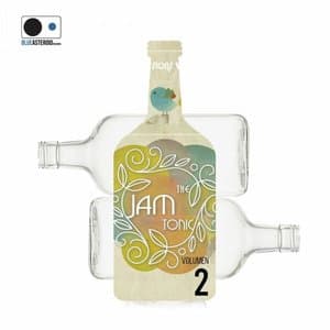 The Jam-Tonic Sessions Vol. 2