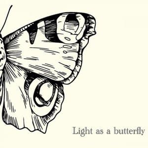 Light as a Butterfly