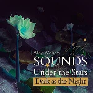 Sounds Under the Stars - Dark as the Night