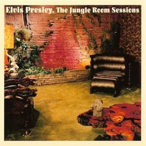 The Jungle Room Session