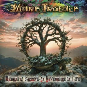 Journeys Groove - An Adventure In Life