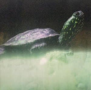 Loops of Infinity (A Rave Loveletter)