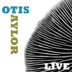 Otis Taylor Live