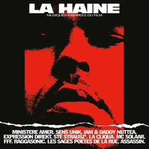 LA HAINE (Musiques inspirees du film)