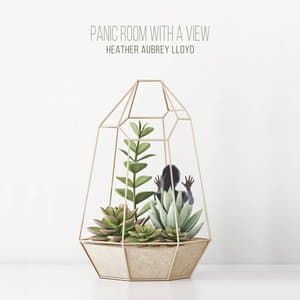 Panic Room With A View