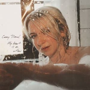 My Heart Is An Outlaw