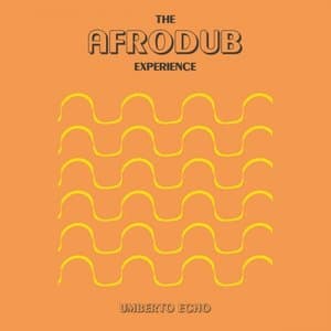 The Afrodub Experience