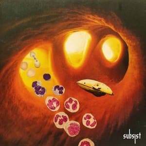 Inside My Acid Wonderland