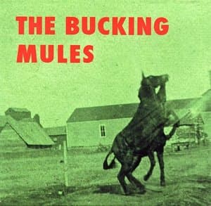 The Bucking Mules