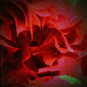 Meus Ultimos Dezembros