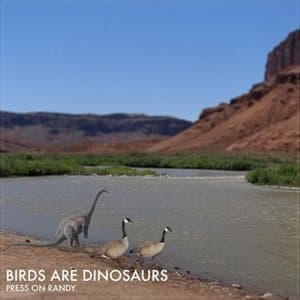Birds Are Dinosaurs