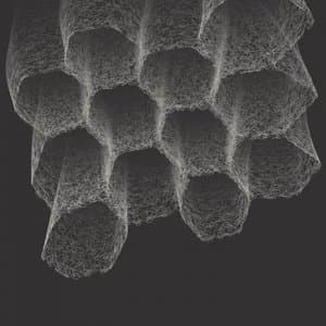 Negentropy [1/3] - Foundations