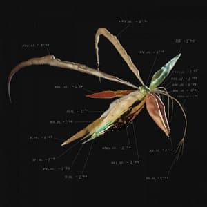 You Are Part Of My Life