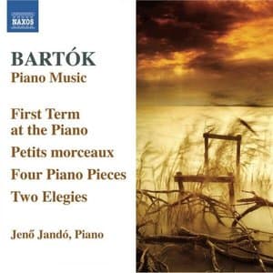 Bartok: Piano Music, Vol. 6
