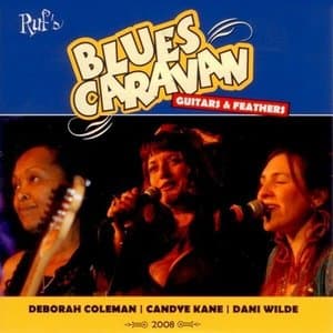 Blues Caravan: Guitars & Feathers