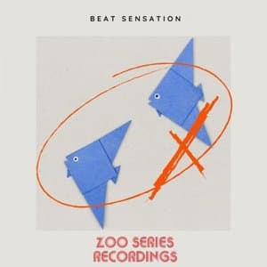 Beat Sensation